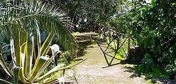 Villa Il Limoneto Acireale 0*,  Italie